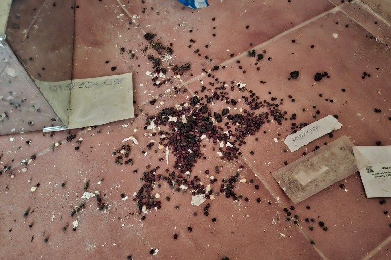 بقايا بذور متناثرة في معامل بنك الجينات بعد تعرضها للنهب والإتلاف