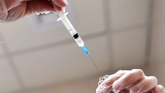 كشف ملابسات قتل كلب بـ «حقنة هواء» في الغربية كشف ملابسات قتل كلب بـ «حقنة هواء» في الغربية