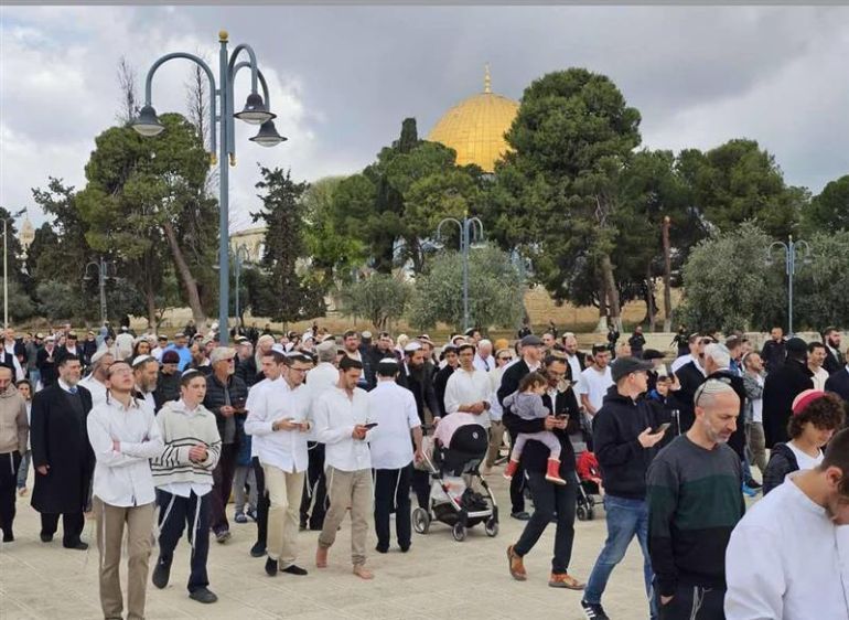 أعداد كبيرة من المستوطنين خلال اقتحام عيد الفصح اليهودي، المسجد الأقصى، القدس، أبريل 2025، المصدر: مواقع التواصل الاجتماعي