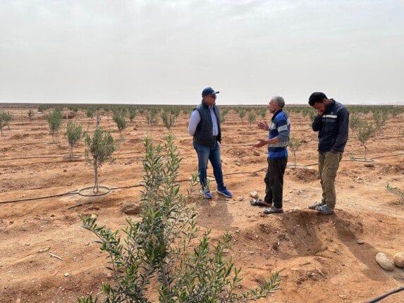 «بحوث الصحراء» يطمئن على سلامة المحاصيل بعد العاصفة الترابية وسط وشمال سيناء «بحوث الصحراء» يطمئن على سلامة المحاصيل بعد العاصفة الترابية وسط وشمال سيناء