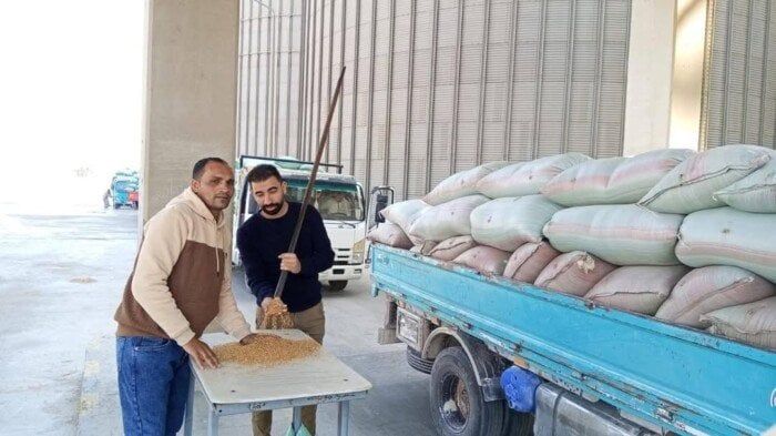 المنيا تتخطى الـ 100 ألف طن.. موسم حصاد القمح 2025 يحقق أرقامًا قياسية المنيا تتخطى الـ 100 ألف طن.. موسم حصاد القمح 2025 يحقق أرقامًا قياسية