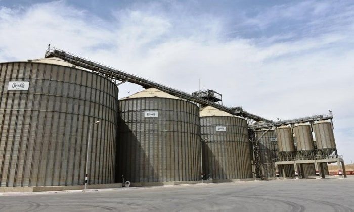تموين أسوان: توريد 104 آلاف طن قمح خلال موسم الحصاد تموين أسوان: توريد 104 آلاف طن قمح خلال موسم الحصاد