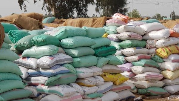 توريد 48 ألفًا و829 طن قمح لصوامع وشون كفر الشيخ | صور توريد 48 ألفًا و829 طن قمح لصوامع وشون كفر الشيخ | صور