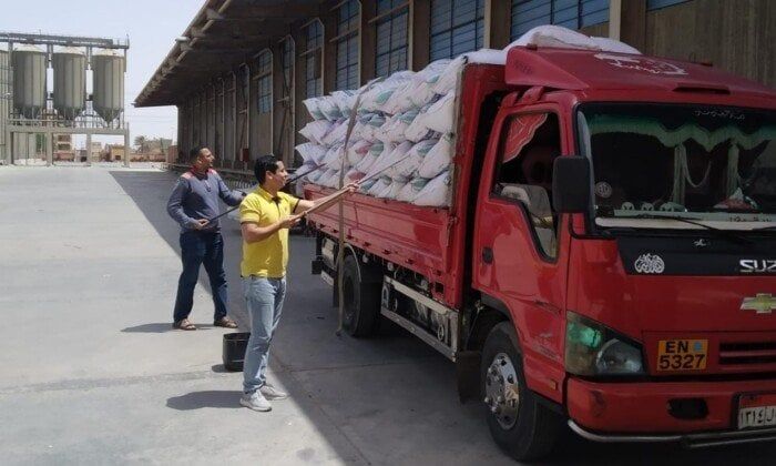 توريد 21 ألف و164 طن قمح للشون والصوامع بالقليوبية توريد 21 ألف و164 طن قمح للشون والصوامع بالقليوبية