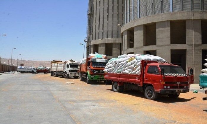 محافظ سوهاج: توريد 82 ألف طن قمح منذ بدء موسم التوريد محافظ سوهاج: توريد 82 ألف طن قمح منذ بدء موسم التوريد