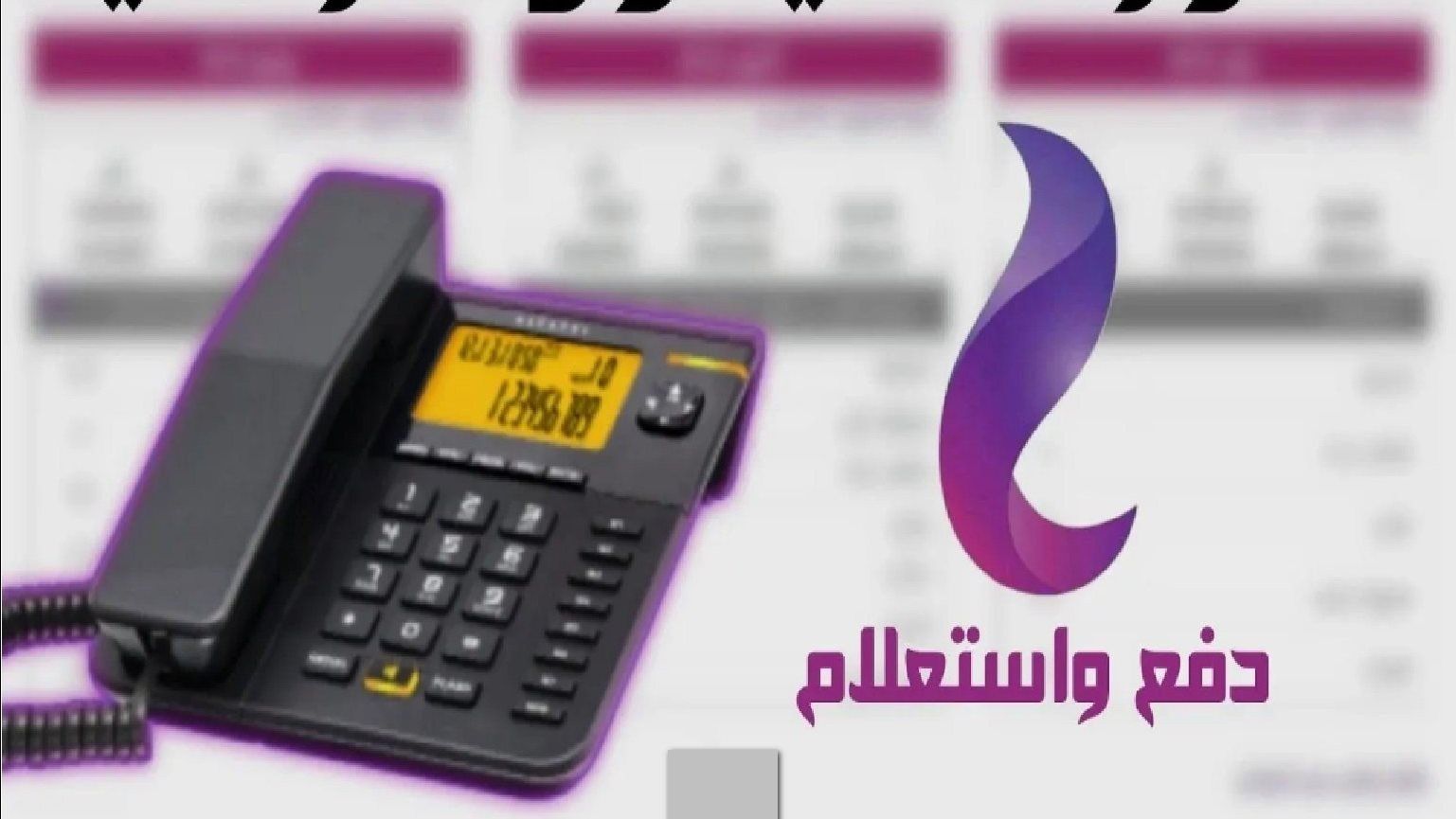 دفع فاتورة التليفون الأرضي لشهر نوفمبر 2024