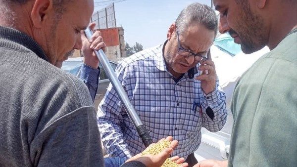 المواقع التخزينية بالشرقية تستقبل 259558 طن قمح المواقع التخزينية بالشرقية تستقبل 259558 طن قمح