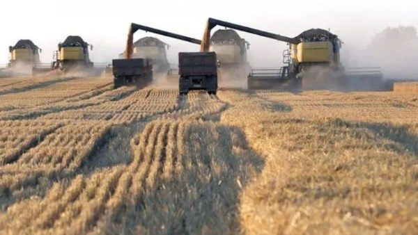 محافظ الشرقية: التيسير على المزارعين في عملية توريد القمح محافظ الشرقية: التيسير على المزارعين في عملية توريد القمح