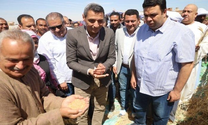 محافظ السويس يفتتح موسم حصاد القمح من قرية الشلوفة بالقطاع الريفي بالجناين محافظ السويس يفتتح موسم حصاد القمح من قرية الشلوفة بالقطاع الريفي بالجناين