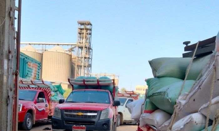 حصاد الخير.. شون وصوامع البحيرة تستقبل 85 ألفًا و415 طن قمح من المزارعين حصاد الخير.. شون وصوامع البحيرة تستقبل 85 ألفًا و415 طن قمح من المزارعين
