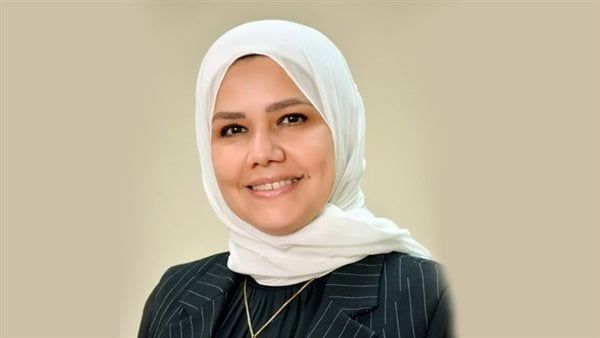 رئيس مصلحة الضرائب المصرية