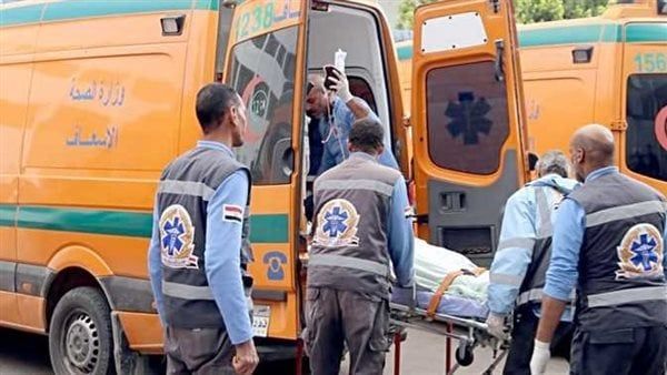 الدم بقا ميه.. مقتل مسنة على يد حفيدتها بالشرقية الدم بقا ميه.. مقتل مسنة على يد حفيدتها بالشرقية