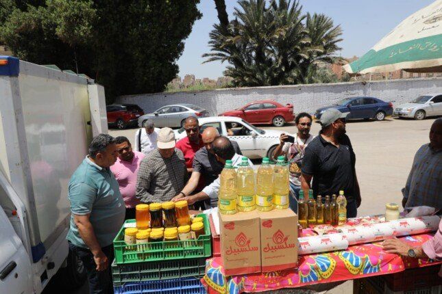 عودة أسواق اليوم الواحد لتوفير السلع بأسعار مخفضة في الجيزة عودة أسواق اليوم الواحد لتوفير السلع بأسعار مخفضة في الجيزة