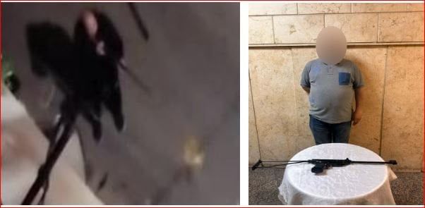 هاجمته فانتقم منها.. ملابسات فيديو إطلاق أعيرة رش تجاه الكلاب بالقاهرة هاجمته فانتقم منها.. ملابسات فيديو إطلاق أعيرة رش تجاه الكلاب بالقاهرة