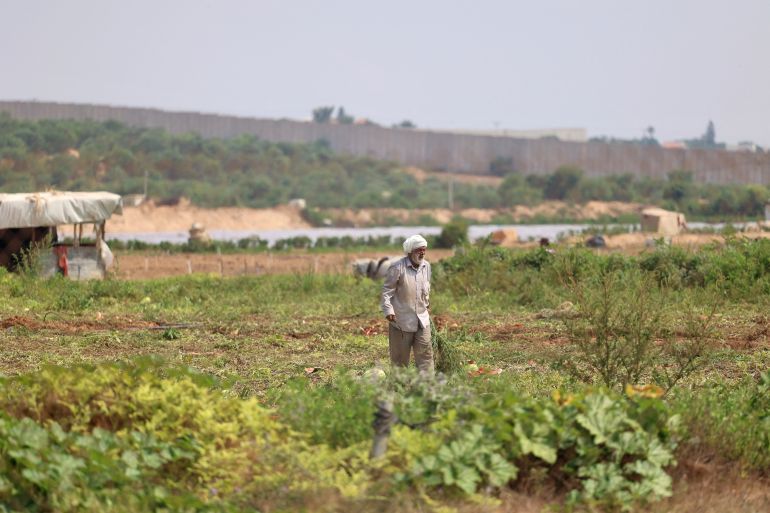 A Palestinian farmer works in his field in Beit Hanoun near the Erez crossing between Israel and the northern Gaza Strip, on August 4, 2022. The Israeli army this week ordered the closure of several roads along the border with the Gaza Strip, fearing attacks from the Palestinian enclave following the arrest of an Islamic Jihad leader in the occupied West Bank. (Photo by MOHAMMED ABED / AFP)