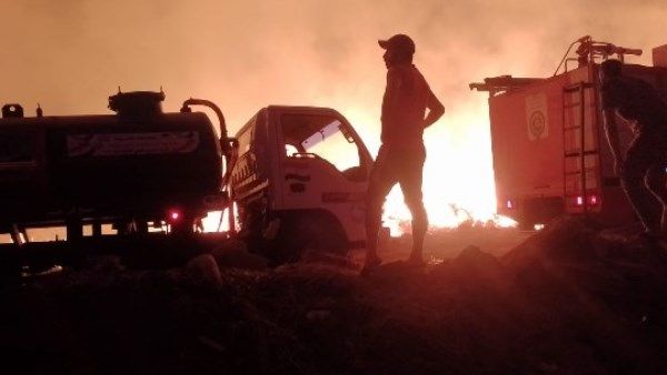 محافظ الغربية بعد السيطرة على حريق شونة الكتان: نتابع الأوضاع ميدانيًا محافظ الغربية بعد السيطرة على حريق شونة الكتان: نتابع الأوضاع ميدانيًا