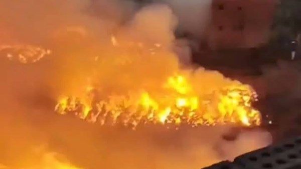 حريق كتان الغربية يحول الليل إلى نهار.. النيران تبتلع 1000 فدان وتصيب 17 شخصًا| صور حريق كتان الغربية يحول الليل إلى نهار.. النيران تبتلع 1000 فدان وتصيب 17 شخصًا| صور