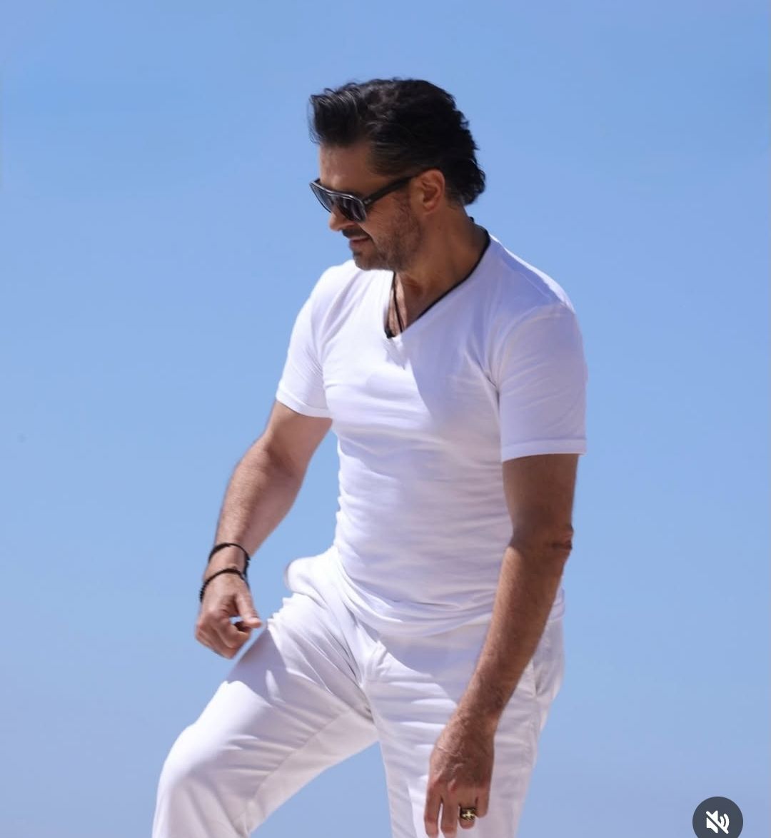 راغب علامة