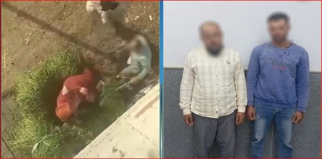 جريمة أشعلتِ السوشيال ميديا وكلمة السر «قطعة أرض».. تفاصيل الاعتداء على سيدة بالدقهلية جريمة أشعلتِ السوشيال ميديا وكلمة السر «قطعة أرض».. تفاصيل الاعتداء على سيدة بالدقهلية