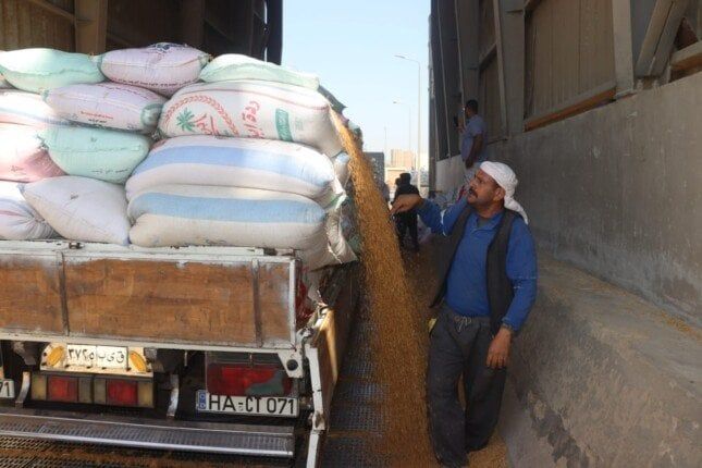 بني سويف تتخطى الـ 145 ألف طن: حصاد وفير من القمح المحلي بني سويف تتخطى الـ 145 ألف طن: حصاد وفير من القمح المحلي