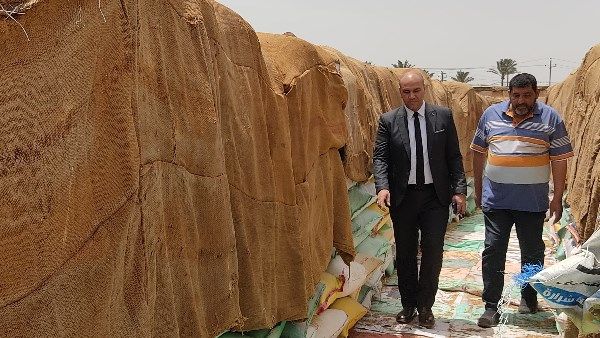 توريد 131 ألفا و624 طن قمح لصوامع وشون كفر الشيخ | صور توريد 131 ألفا و624 طن قمح لصوامع وشون كفر الشيخ | صور