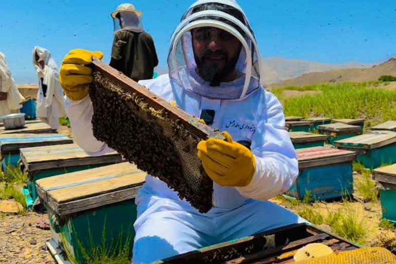 **داخلية** نحال یعرض إطار نحل في ولاية تخار شمالي أفغانستان