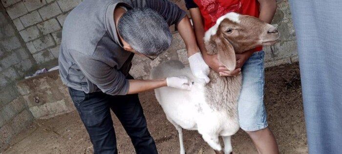قافلة بيطرية لتحسين صحة الثروة الحيوانية
