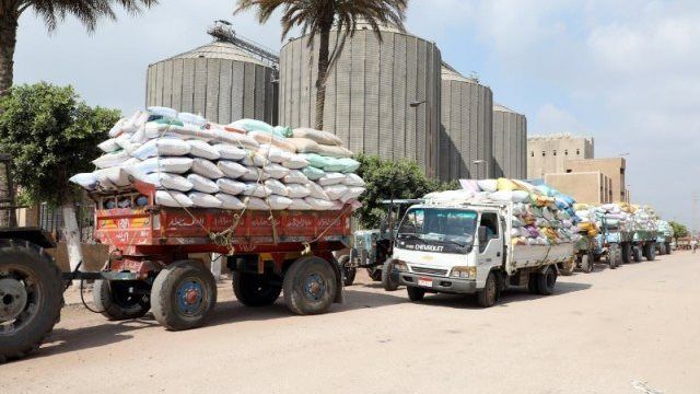 استلام 180ألف طن قمح بالصوامع والشون في بني سويف استلام 180ألف طن قمح بالصوامع والشون في بني سويف