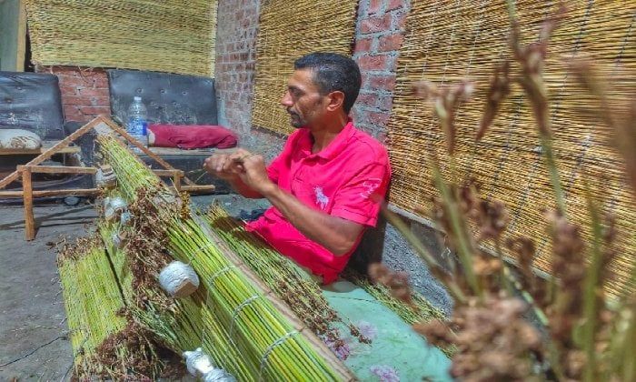 تواجه شبح الاندثار.. «الأسبوع» داخل أقدم ورشة لصناعة الحُصر في الإسكندرية تواجه شبح الاندثار.. «الأسبوع» داخل أقدم ورشة لصناعة الحُصر في الإسكندرية