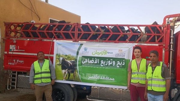 توزيع 50 ألف كيلو لحوم أضاحي و75 عجل للأسر الأولى بالرعاية في الأقصر توزيع 50 ألف كيلو لحوم أضاحي و75 عجل للأسر الأولى بالرعاية في الأقصر
