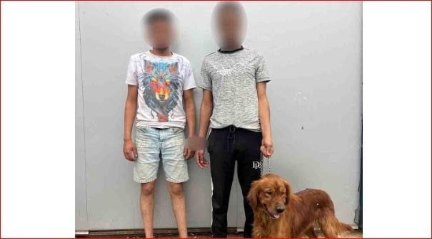 هدداه بالكلب.. ضبط مسلجين خطر بتهمة احتجاز مواطن في القاهرة هدداه بالكلب.. ضبط مسلجين خطر بتهمة احتجاز مواطن في القاهرة