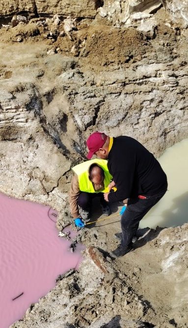 جانب من الباحثين أثناء اختبار مياه البرك الوردية (الجمعية العلمية الملكية)