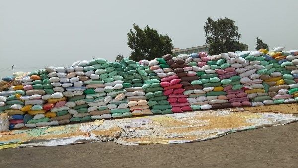 توريد 195 ألفًا و199 طن قمح لصوامع وشون كفر الشيخ | صور توريد 195 ألفًا و199 طن قمح لصوامع وشون كفر الشيخ | صور