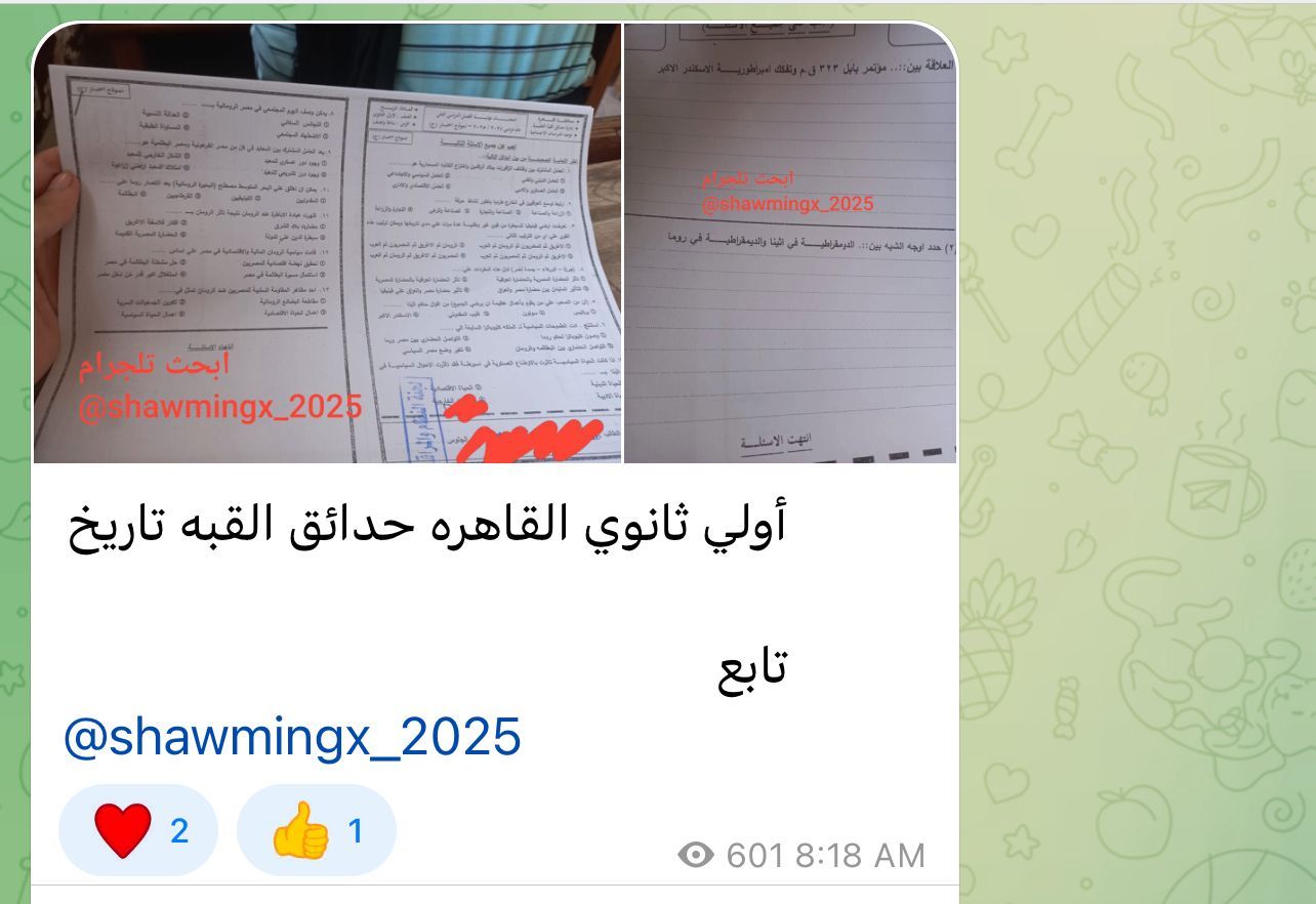 238de38e08.jpg