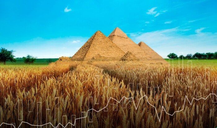 التموين: مناقشات مع بلغاريا على مقايضة القمح بالفاكهة والخضراوات التموين: مناقشات مع بلغاريا على مقايضة القمح بالفاكهة والخضراوات