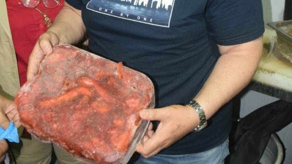 ضبط دواجن محقونة مياه ولحوم مستوردة تباع بلدي في زهور بورسعيد ضبط دواجن محقونة مياه ولحوم مستوردة تباع بلدي في زهور بورسعيد