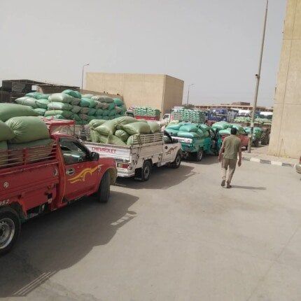 محافظ المنيا: تجاوزنا الــ 442 ألف طن قمح مُورَّد.. وتسهيلات غير مسبوقة للمزارعين محافظ المنيا: تجاوزنا الــ 442 ألف طن قمح مُورَّد.. وتسهيلات غير مسبوقة للمزارعين