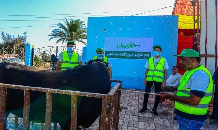 ذبح وتوزيع لحوم الأضاحي مجانًا على الأسر الأولى بالرعاية في الفيوم ذبح وتوزيع لحوم الأضاحي مجانًا على الأسر الأولى بالرعاية في الفيوم