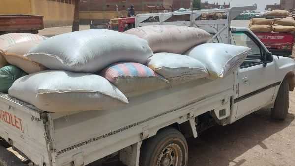 محافظ أسيوط: ضبط 6 أطنان قمح مسوس وتحرير 571 محضرًا خلال حملات تموينية مكثفة محافظ أسيوط: ضبط 6 أطنان قمح مسوس وتحرير 571 محضرًا خلال حملات تموينية مكثفة