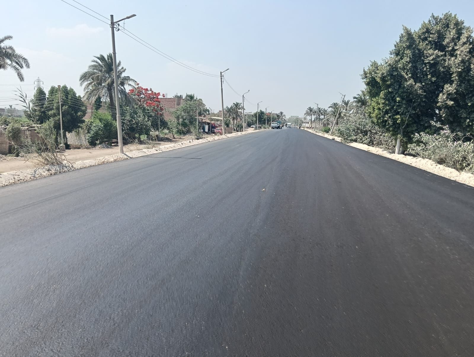 d0cb06e115.jpg