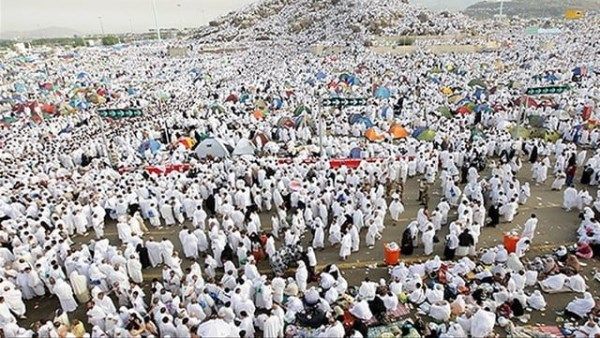 مليونا حاج يؤدون الركن الأعظم من الحج في أجواء آمنة ومنظمة.. تفاصيل مليونا حاج يؤدون الركن الأعظم من الحج في أجواء آمنة ومنظمة.. تفاصيل