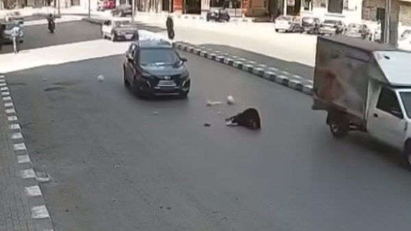 حبس طالب أنهى حياة سيدة بسيارة مسرعة في طنطا 4 أيام علي ذمة التحقيقات حبس طالب أنهى حياة سيدة بسيارة مسرعة في طنطا 4 أيام علي ذمة التحقيقات
