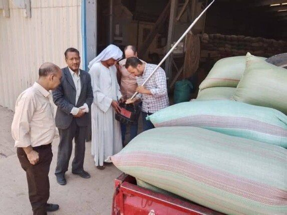 تخطت النص مليون.. استمرار أعمال توريد القمح بشون وصوامع المنيا تخطت النص مليون.. استمرار أعمال توريد القمح بشون وصوامع المنيا