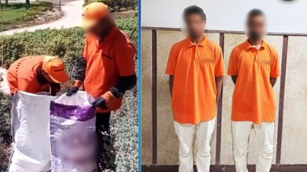 كشف ملابسات قيام شخصين بوضع كلاب داخل أجولة في مطروح «فيديو» كشف ملابسات قيام شخصين بوضع كلاب داخل أجولة في مطروح «فيديو»