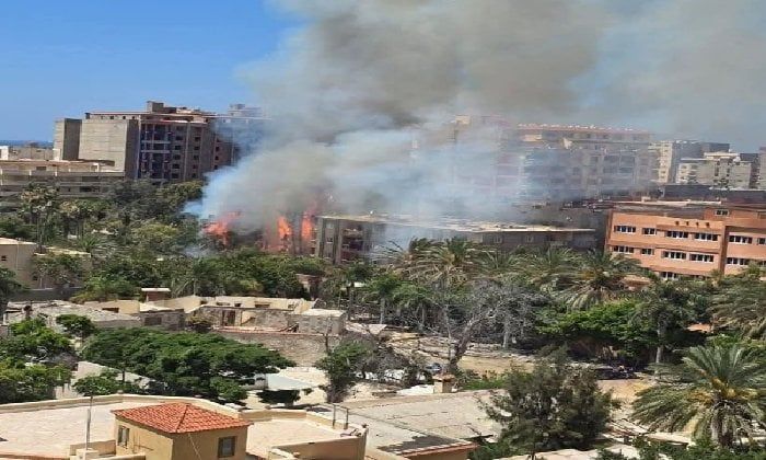 حريق هائل يلتهم أشجارًا بشارع بيانكي غرب الإسكندرية دون إصابات