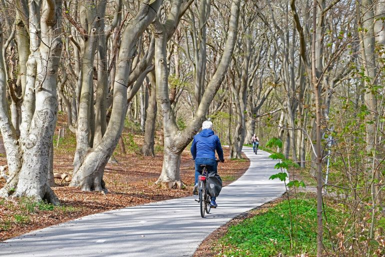 Dutch cyclists cycling on their bicycles on concrete cycle path. bicycle track winding through forest in spring near Alkmaar, North Holland. Noord-Holland, the Netherlands. (Photo by: Marica van der Meer/Arterra/Universal Images Group via Getty Images)