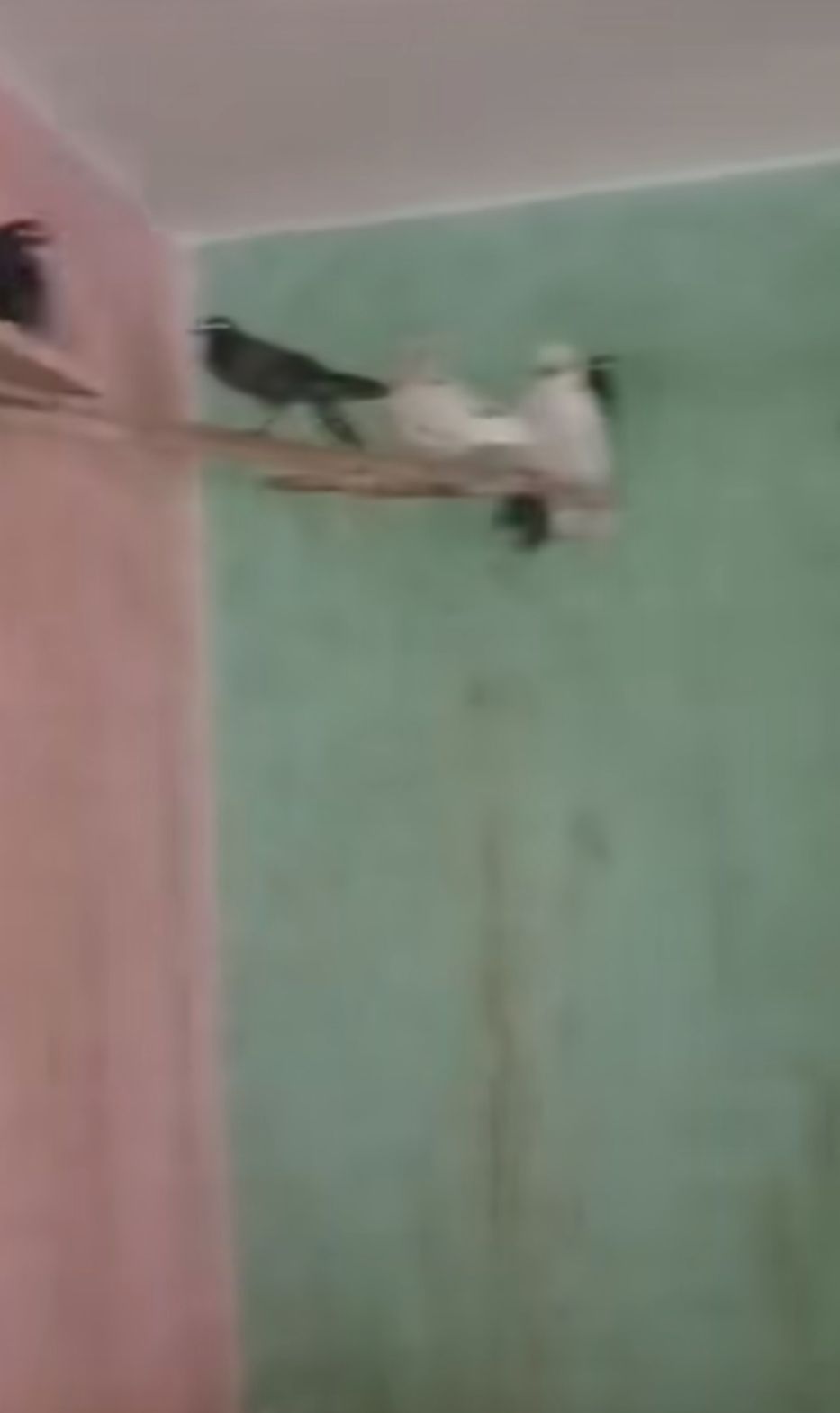 fa5bd86280.jpg