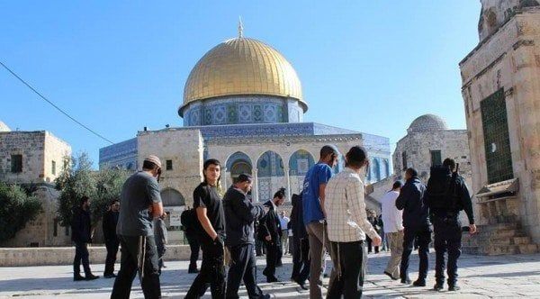 مستوطنون إسرائيليون يقتحمون باحات المسجد الأقصى وسط حماية شرطة الاحتلال مستوطنون إسرائيليون يقتحمون باحات المسجد الأقصى وسط حماية شرطة الاحتلال