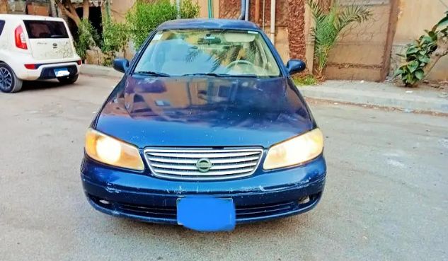 977ef12cdc.jpg