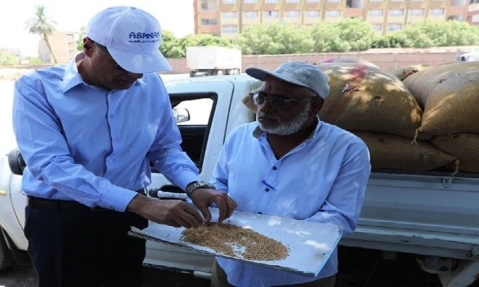 محافظ أسوان لعمال مطحن ناصر: القمح المصري يتصدر والمستهدف اتحقق بنسبة 113% محافظ أسوان لعمال مطحن ناصر: القمح المصري يتصدر والمستهدف اتحقق بنسبة 113%
